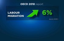 ОЭСР: миграционные потоки растут