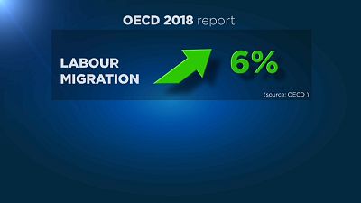 ОЭСР: миграционные потоки растут