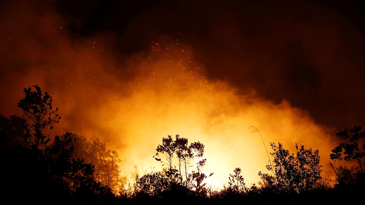 Endonezya ve Malezya orman yangınları sebebi ile duman altı: Havaalanları ve okullar kapatıldı