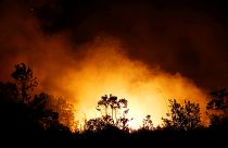 Endonezya ve Malezya orman yangınları sebebi ile duman altı: Havaalanları ve okullar kapatıldı