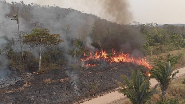 Incendi in Amazzonia: 12 milioni di ettari in fumo. La Bolivia riceve gli aiuti europei Incendi in Amazzonia: 12 milioni di ettari in fumo. La Bolivia riceve gli aiuti europei