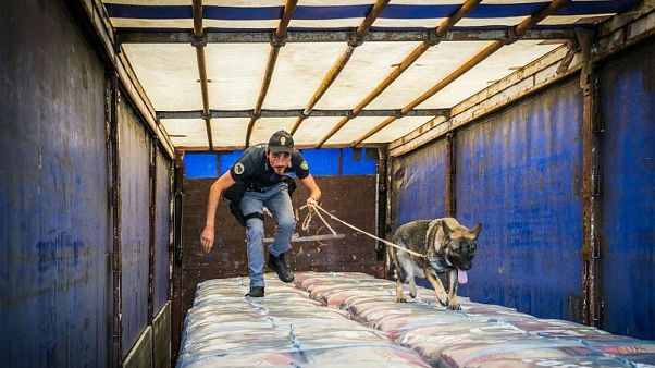 Dodici foreign fighter identificati dall'Interpol nel Mediterraneo Dodici foreign fighter identificati dall'Interpol nel Mediterraneo