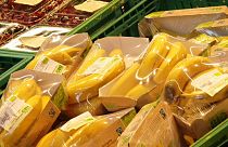 L'Italia vira all'economia verde?