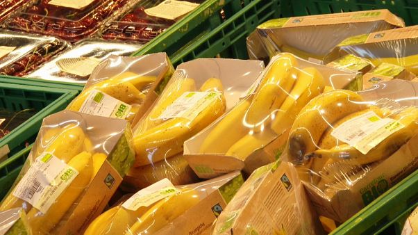 L'Italia vira all'economia verde? L'Italia vira all'economia verde?