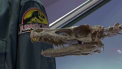 Props from 1993's Jurassic Park will go under the hammer 