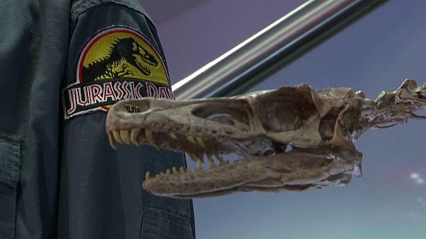 Props from 1993's Jurassic Park will go under the hammer Props from 1993's Jurassic Park will go under the hammer