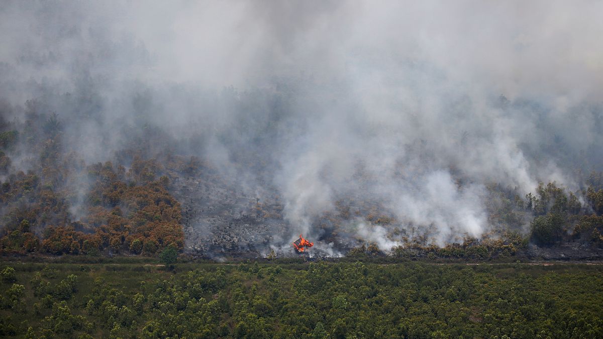حرائق الغابات في بالانغكا رايا، مقاطعة كاليمانتان الوسطى، إندونيسيا، 14 سبتمبر 2019