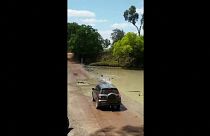 کروکودیل‌ها «خطرناک‌ترین» جاده استرالیا را مسدود کردند