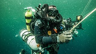 Lead diver Patrick Plantard . Amazon Reef Expedition French Guiana waters. September 2019.