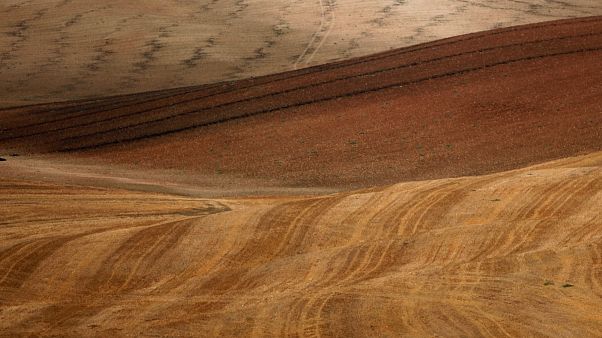 Les Fondamentaux Du Changement Climatique Euronews