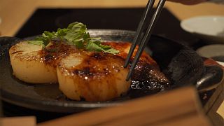 الساريولا أحد أشهى أنواع السمك لتحضير السوشي الياباني