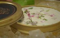   وصفة لمحبي السمك النيء من تحضير الطاهي الفرنسي الشهير تيري فوازان