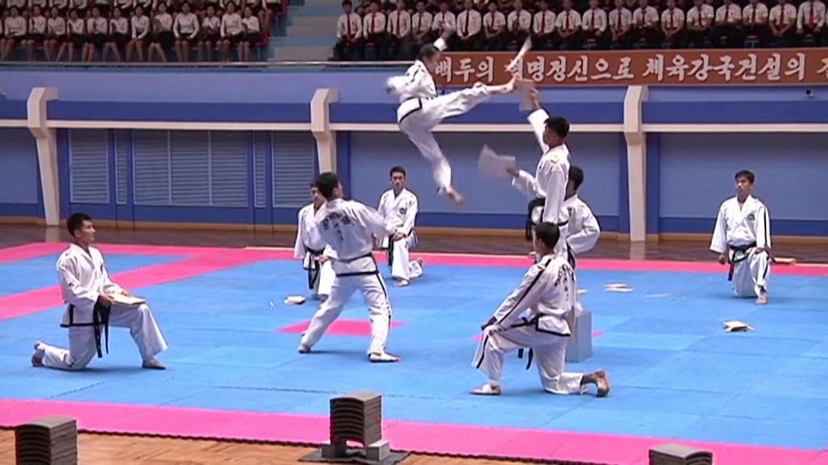 North Korea celebrates founding anniversary of international martial arts committee