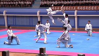 Internationales Kampfsport-Treffen in Pjöngjang