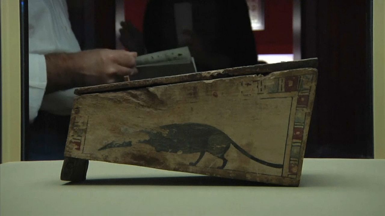 Мумия Шпицмауса Габсбургов Мумия Шпицмауса Габсбургов