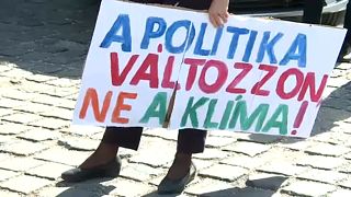 Klímavészhelyzet kihirdetését követelték az Áderhez vonuló ellenzéki politikusok