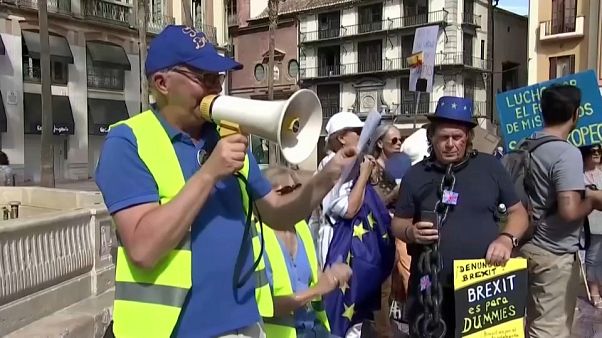 Protesta en España de británicos contra el Brexit Protesta en España de británicos contra el Brexit
