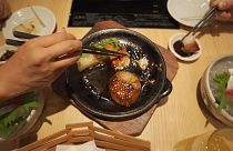 Take a gastronomic journey through Japan