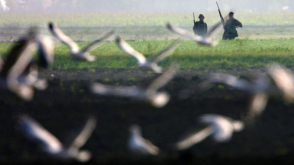 İtalyan avcı yabandomuzu sandığı babasını karnından vurarak öldürdü İtalyan avcı yabandomuzu sandığı babasını karnından vurarak öldürdü