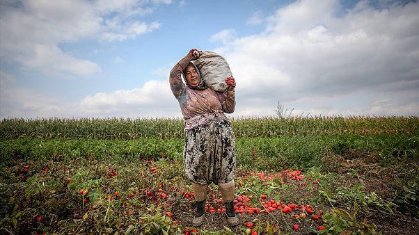 A’dan Z’ye Türkiye’nin yoksulluk ve gelir dağılımı eşitsizliği haritası A’dan Z’ye Türkiye’nin yoksulluk ve gelir dağılımı eşitsizliği haritası