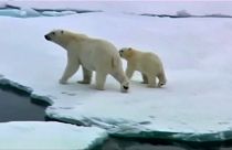 La temperatura global podría sufrir un gran aumento en el próximo lustro