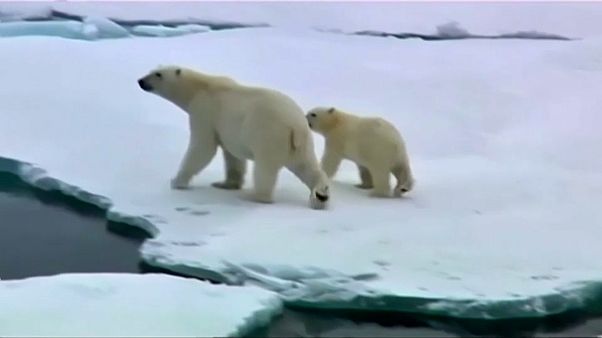Aquecimento global acelerou mais que o previsto Aquecimento global acelerou mais que o previsto