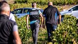 Busts at French vineyards uncover over 165 suspected slaves from Bulgaria