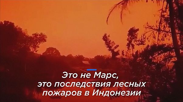 Небо в Индонезии стало ярко-красным от пожаров Небо в Индонезии стало ярко-красным от пожаров