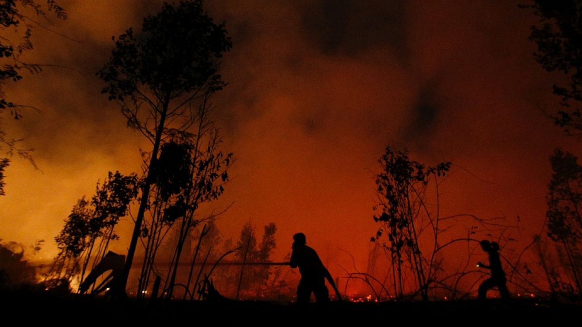 UNICEF: Endonezya'da orman yangınları nedeniyle 10 milyon çocuk tehdit altında 