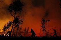 UNICEF: Endonezya'da orman yangınları nedeniyle 10 milyon çocuk tehdit altında