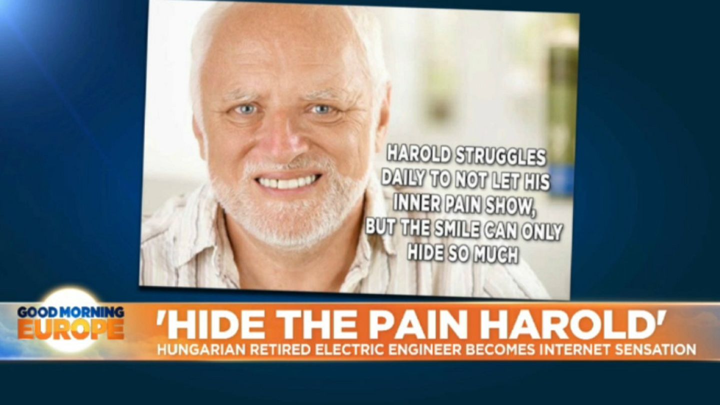 Hide The Pain Harold Svg