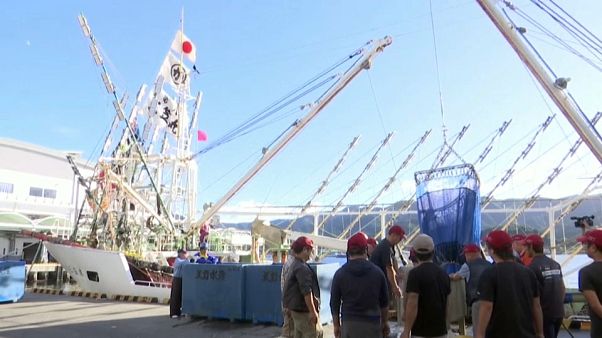 Kamaishi, la ville du Japon qui revit grâce au rugby Kamaishi, la ville du Japon qui revit grâce au rugby