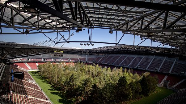 Foci-Eb: több mint félmillió fát ültet az UEFA Foci-Eb: több mint félmillió fát ültet az UEFA