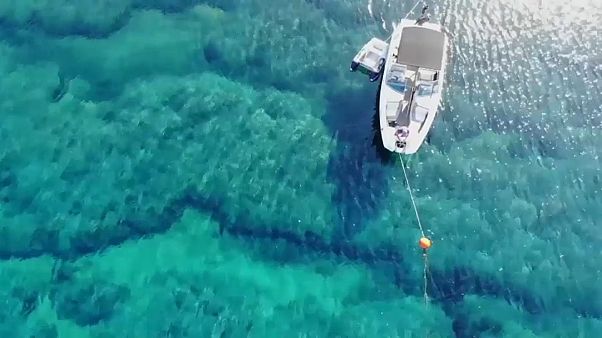 EU: "Blue Economy" befindet sich im Aufwind EU: "Blue Economy" befindet sich im Aufwind