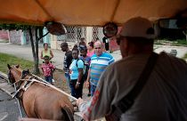 Cuba recurre a la tracción animal ante la falta de combustible
