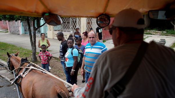 Cuba recurre a la tracción animal ante la falta de combustible Cuba recurre a la tracción animal ante la falta de combustible