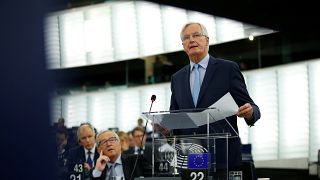 FILE PHOTO: European Union's chief Brexit negotiator Michel Barnier addresses the plenary of the European Parliament on Brexit 