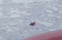 Kutatókat mentettek a jeges vízből