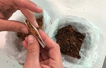 Balkanlarda kaçak tütün pazarı: Yıllık 300 milyon euro vergi kayıp