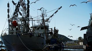 Rusya, Kuzey Koreli üç balıkçı teknesine el koydu, 262 denizciyi gözaltını aldı