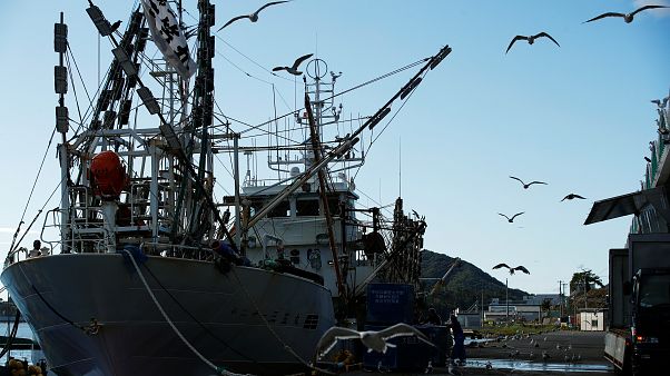 Rusya, Kuzey Koreli üç balıkçı teknesine el koydu, 262 denizciyi gözaltını aldı Rusya, Kuzey Koreli üç balıkçı teknesine el koydu, 262 denizciyi gözaltını aldı