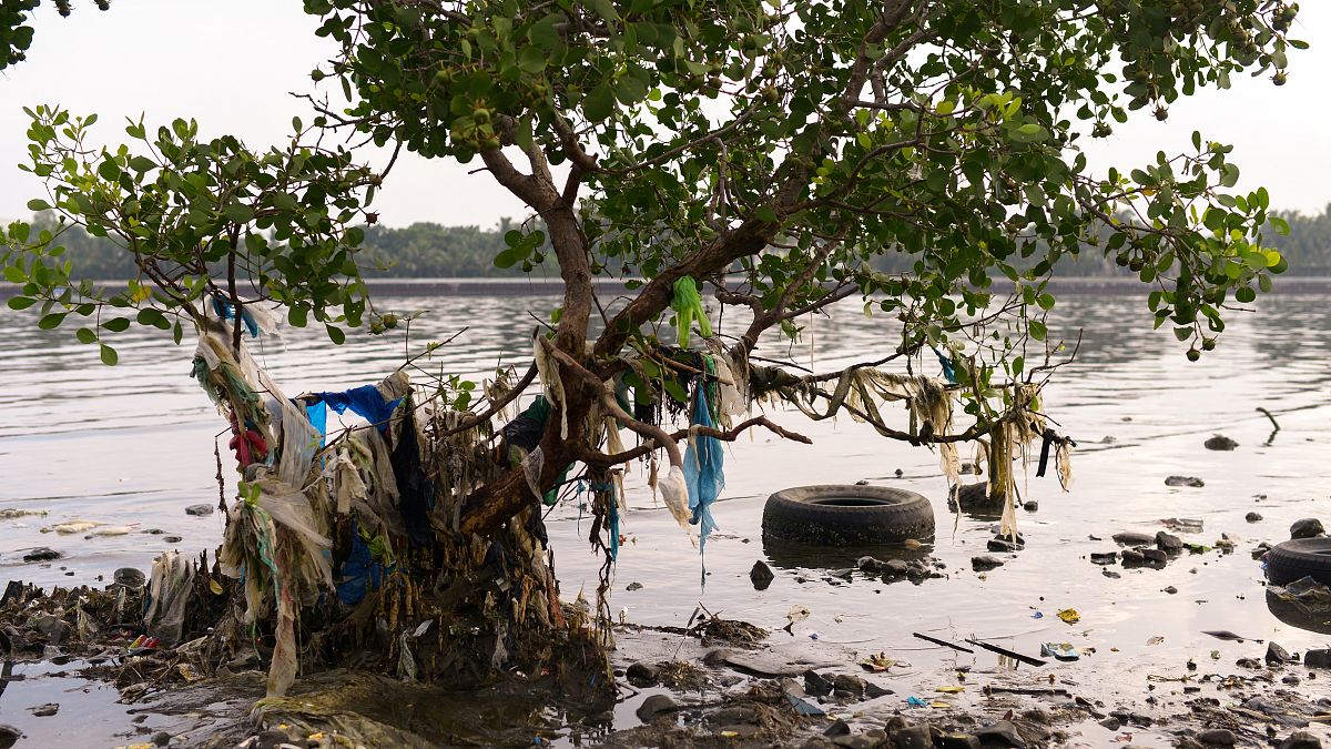 آلودگی‌ ناشی از زباله‌های پلاستیکی؛ چه کشورهایی بیشترین سوءمدیریت را دارند؟