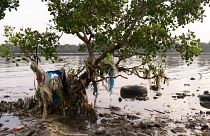 آلودگی‌ ناشی از زباله‌های پلاستیکی؛ چه کشورهایی بیشترین سوءمدیریت را دارند؟