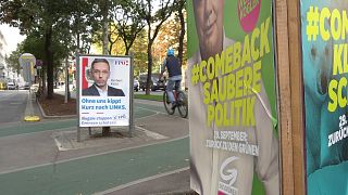 Wahlplakate in Wien: Der Klimaschutz spielt eine wichtige Rolle im Wahlkampf.