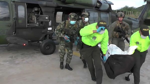 Golpe letal del Ejército colombiano a la banda criminal de "Los Pelusos" Golpe letal del Ejército colombiano a la banda criminal de "Los Pelusos"