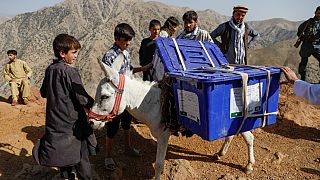 Afghan presidential election ballot boxes are taken to mountainous regions