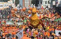 День тигра во Владивостоке