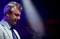 FPÖ stürzt auf 16 % ab - Häme im Internet: "Go to Ibiza"