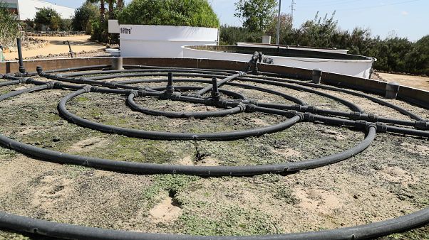 Energía solar para reducir residuos en España y Portugal Energía solar para reducir residuos en España y Portugal