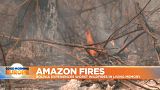 Amazon Fires: Bolivia experiences worst wildfires in living memory 